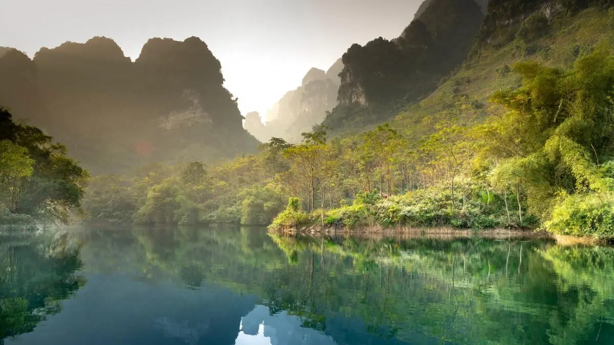 智能系统绿色绿色